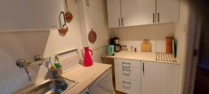 a small kitchen with a sink and a counter at Nora Gård in Åndalsnes