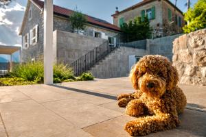 a brown teddy bear sitting on a sidewalk at Villa Lastva in Tivat