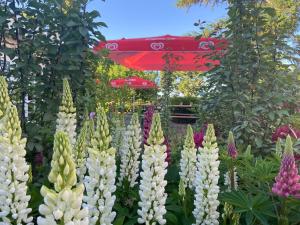 Zahrada ubytování K 357 - Low budget Hotel in Ratekau bei Lübeck