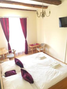 En eller flere senge i et værelse på Andrišov dom penzion