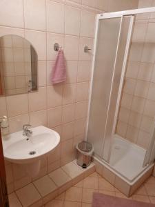 a bathroom with a sink and a shower at Andrišov dom penzion in Tvarožná