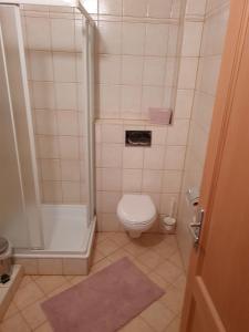 y baño pequeño con aseo y ducha. en Andrišov dom penzion en Tvarožná
