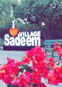 a vase filled with red flowers next to a bench at Sadeem Village & Chalet in Ash Shafa