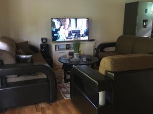 a living room with furniture and a flat screen tv at GOLD RIVER in Krupa na Vrbasu