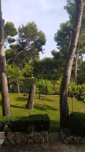 Zahrada ubytování Apartamento Salou Vistas Mar - Piscina