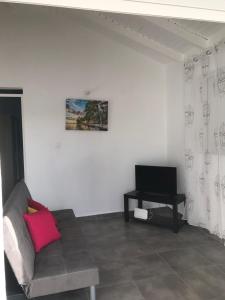 a living room with a couch and a tv at YOLANDA HIBISCUS in Le Moule