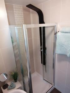 a shower with a glass door in a bathroom at Wild Atlantic Lodge Bed & Breakfast in Lahinch