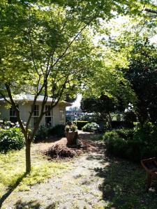 a yard with a tree and a bench and a house at Manakau House The Old Manakau Hotel 1920 in Manakau +14 photos