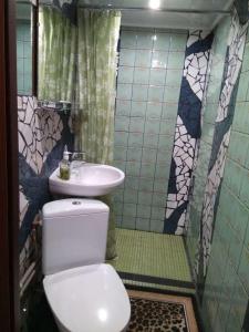 雲特史比斯的住宿－Saulespuķe，一间带卫生间和水槽的浴室