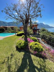 Naturlandskabet i nærheden af lejligheden