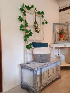 Galeriebild der Unterkunft La Fontenelle Meublé T2 in Sainte-Sévère