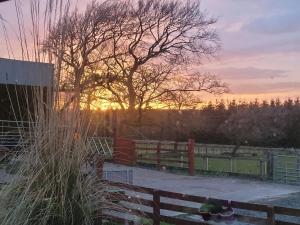 a tree and a bench with the sunset in the background at Blairmains Guest House in Kirk of Shotts