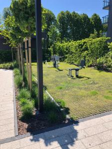 Ogród w obiekcie Gdansk Apartament Harmonia Oliwska