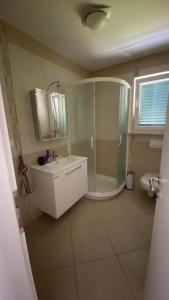 W łazience znajduje się prysznic, umywalka i toaleta. w obiekcie Vila Luca island KRK / Malinska w mieście Malinska