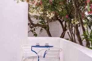 Un jardín fuera de Ikaros