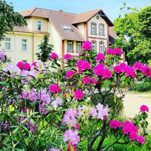 O grădină în afara Parkhotel Pretzsch