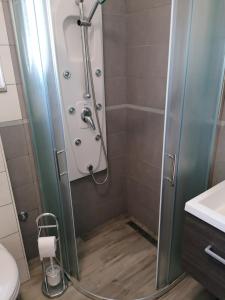 W łazience znajduje się prysznic ze szklanymi drzwiami. w obiekcie Apartman Rafael w Medulinie +8 zdjęć
