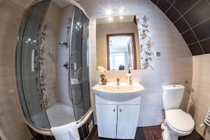 a bathroom with a shower and a sink and a toilet at Gościniec Polana Błociska-Na Błociskach in Małe Ciche +39 photos