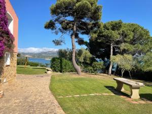 a bench sitting in the grass next to a tree at Villa Annalia in Cannigione