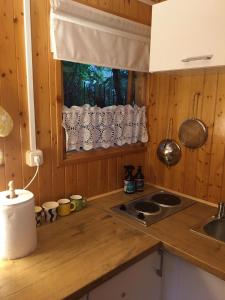 a kitchen counter with a sink and a window at Dom Pod Długim Wiosłem in Wiartel