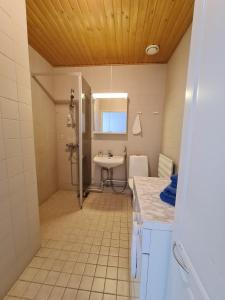 a bathroom with a sink and a counter top at Terrace Apartments at Kirkkokatu in Savonlinna