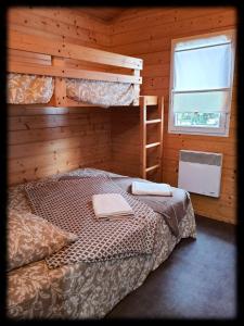 a bedroom with a bunk bed and a ladder at Chalet Beau Rivage in Gunsbach