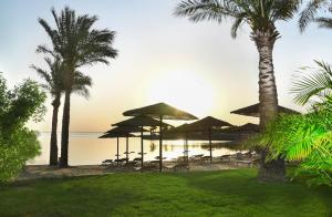 a beach with umbrellas and chairs and the ocean at Iberotel Casa Del Mar Resort in Hurghada