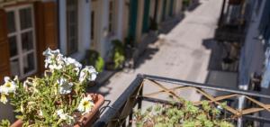 zwei Topfpflanzen auf einem Balkon eines Gebäudes in der Unterkunft Dias in Nafplio