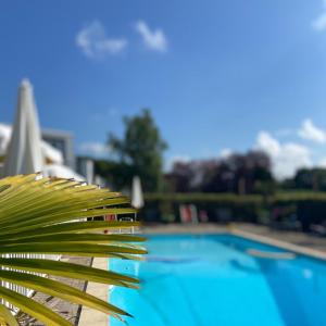 Bazén v ubytování Mercure Reims Parc Des Expositions nebo v jeho okolí