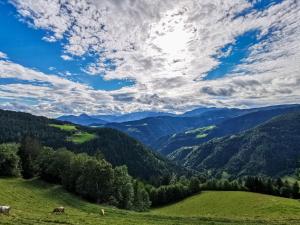 uma vista para um vale verde com montanhas e árvores em Farmstay&Glamping Visočnik em Ljubno