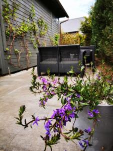 Gallery image of Stilove Wydmy in Sasino