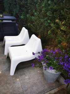 Gallery image of Stilove Wydmy in Sasino +33 photos