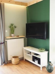 Televízia a/alebo spoločenská miestnosť v ubytovaní Apartament MONTANA