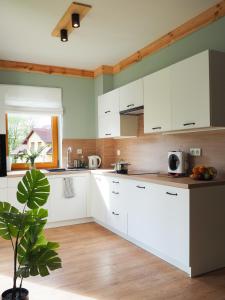 Kuchyňa alebo kuchynka v ubytovaní Apartament MONTANA
