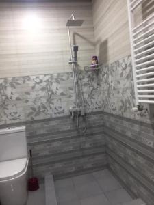 ein Bad mit einer Dusche und einem WC in der Unterkunft 1home in Rustawi