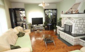 salon z kanapą i kominkiem w obiekcie Apartment in Kali with sea view, terrace, air conditioning, WiFi (4230-3) w mieście Kali