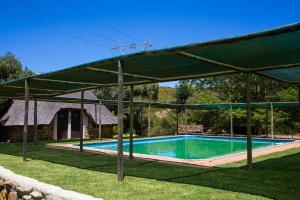 a swimming pool under a large green canopy at Steenbok Farm Cottages Steenbok cottage in Wolseley