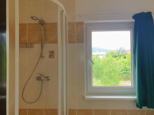 a bathroom with a shower and a window at Penzion Lumis in Nová Role