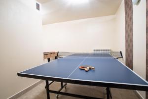 a ping pong table with a ping paddle on it at Gościniec Polana Błociska-Na Błociskach in Małe Ciche