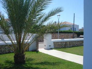 a palm tree in a yard next to a building at Villa Romaní SUITE in Son Carrio