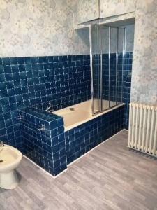 La salle de bains est pourvue de carrelage bleu, d'une douche et de toilettes. dans l'établissement MAISON ALBA LA SOURCE, à Mazamet