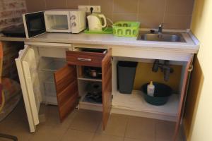 eine Küchentheke mit einer Spüle und einer Mikrowelle in der Unterkunft Nádasdy Studió Apartment in Szombathely