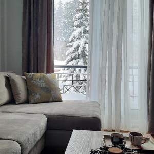 Imagen de la galería de Apartman K&N - Jahorinska Vila, en Jahorina