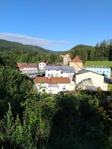Blick auf eine Stadt von einem Hügel in der Unterkunft Hotel Koruna penzion in Teplice nad Metují