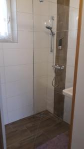 baño con ducha y puerta de cristal en Ferienhaus Inge, en Kirchberg an der Raab
