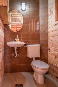 La salle de bains est pourvue de toilettes et d'un lavabo. dans l'établissement Holiday Village Ostrog, à Nikšić