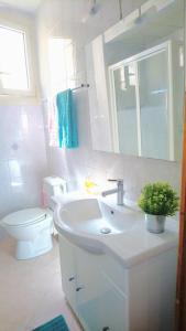 a bathroom with a sink and a toilet and a mirror at Ceci's home - Few steps from Monaco WITH PARKING in Beausoleil +11 photos