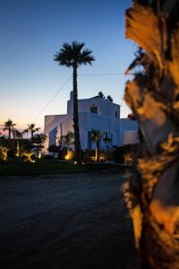 a palm tree and a white building with a palm tree at Phoenix studios in Mikonos