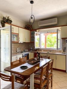 Kuchyň nebo kuchyňský kout v ubytování Casa Lia-Beach Front Villa