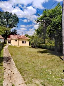 a yard with a house and a fence at Privatni smeštaj Zlatko in Soko Banja